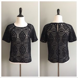 Ann Taylor lace top in navy blue